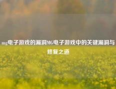 mg电子游戏的漏洞MG电子游戏中的关键漏洞与修复之道