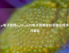 pt电子游戏mg123.comPT电子游戏平台引领在线学习革命