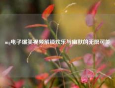 mg电子爆笑视频解锁欢乐与幽默的无限可能
