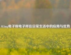 0.1mg电子称电子秤在日常生活中的应用与优势