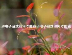 AG电子游戏如何才能赢AG电子游戏如何才能赢