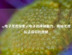 ag电子龙虎探索AG电子的神秘魅力，揭秘龙虎玩法背后的奥秘