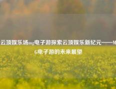 云顶娱乐场mg电子游探索云顶娱乐新纪元——MG电子游的未来展望