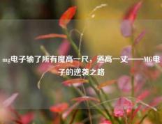 mg电子输了所有魔高一尺，道高一丈——MG电子的逆袭之路