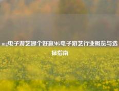 mg电子游艺哪个好赢MG电子游艺行业概览与选择指南