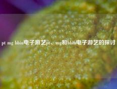 pt mg bbin电子游艺pt、mg和bbin电子游艺的探讨