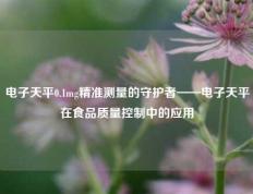 电子天平0.1mg精准测量的守护者——电子天平在食品质量控制中的应用