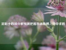 足彩十四场分析预测把握市场脉搏，稳中求胜