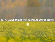 电子mg游戏大奖多少钱揭秘高额奖金背后的秘密