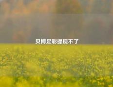 贝博足彩提现不了