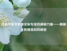 足彩专家天机棒足彩专家的神秘力量——揭秘天机棒背后的秘密