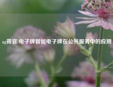ag荷官 电子牌智能电子牌在公共服务中的应用