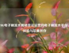 MG电子刷流水揭秘非法运营的电子刷流水平台，风险与后果并存