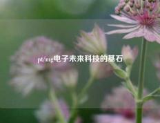 pt/mg电子未来科技的基石