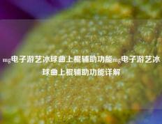 mg电子游艺冰球曲上棍辅助功能mg电子游艺冰球曲上棍辅助功能详解