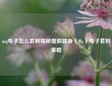 mg电子怎么套利揭秘魔胴健身（Mg）电子套利策略