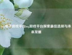mg电子游戏平台mg游戏平台探索最佳选择与未来发展