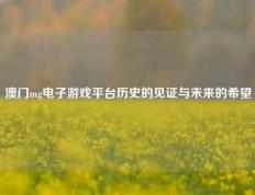 澳门mg电子游戏平台历史的见证与未来的希望