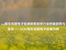 mg娱乐线路电子检测探索游戏行业的新趋势与挑战——以MG娱乐线路电子检测为例