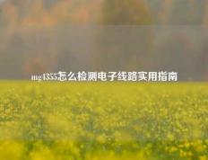 mg4355怎么检测电子线路实用指南
