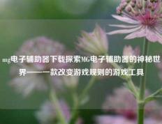 mg电子辅助器下载探索MG电子辅助器的神秘世界——一款改变游戏规则的游戏工具