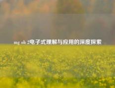 mg oh 2电子式理解与应用的深度探索