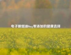 电子眼烟油0mg零添加的健康选择