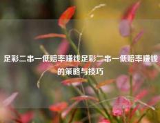 足彩二串一低赔率赚钱足彩二串一低赔率赚钱的策略与技巧