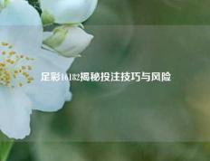 足彩16182揭秘投注技巧与风险