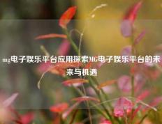 mg电子娱乐平台应用探索MG电子娱乐平台的未来与机遇