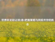 世界杯足彩让球2串1把握策略与风险并存的机会