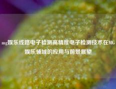 mg娱乐线路电子检测高精度电子检测技术在MG娱乐领域的应用与前景展望
