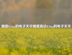 精度0.1mg的电子天平精度高达0.1mg的电子天平