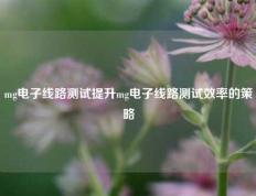 mg电子线路测试提升mg电子线路测试效率的策略