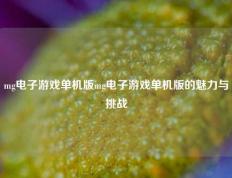 mg电子游戏单机版mg电子游戏单机版的魅力与挑战