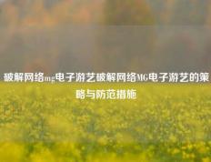 破解网络mg电子游艺破解网络MG电子游艺的策略与防范措施