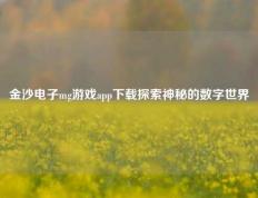 金沙电子mg游戏app下载探索神秘的数字世界