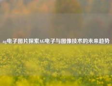ag电子图片探索AG电子与图像技术的未来趋势