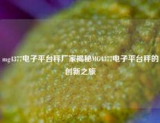 mg4377电子平台秤厂家揭秘MG4377电子平台秤的创新之旅
