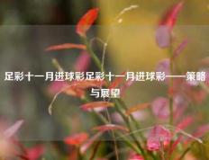 足彩十一月进球彩足彩十一月进球彩——策略与展望