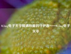 0.1mg电子天平精确称量的守护者——0.1mg电子天平