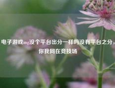 电子游戏mg没个平台出分一样吗没有平台之分，你我同在竞技场