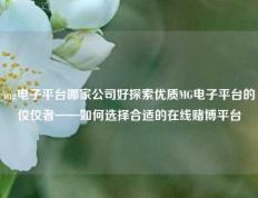 mg电子平台哪家公司好探索优质MG电子平台的佼佼者——如何选择合适的在线赌博平台