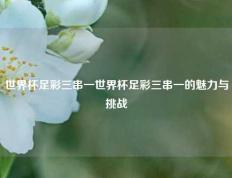 世界杯足彩三串一世界杯足彩三串一的魅力与挑战