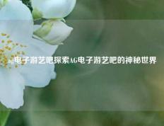 ag电子游艺吧探索AG电子游艺吧的神秘世界