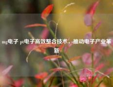 mg电子 pt电子高效整合技术，推动电子产业革新