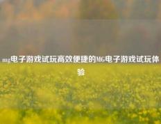 mg电子游戏试玩高效便捷的MG电子游戏试玩体验