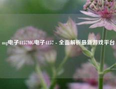 mg电子4157MG电子4157 - 全面解析最新游戏平台