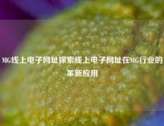 MG线上电子网址探索线上电子网址在MG行业的革新应用