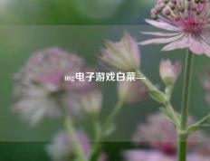 mg电子游戏白菜---